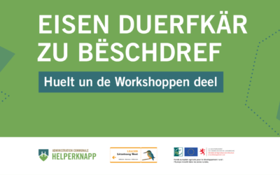 Noyau de Buschdorf : Huelt un de Workshoppen deel / Participez aux ateliers de co-création