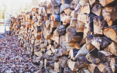 Vente de bois de chauffage | Verkauf von Brennholz