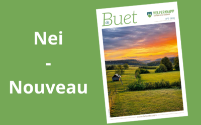 Nei – Nouveau: deBuet N°3 2026